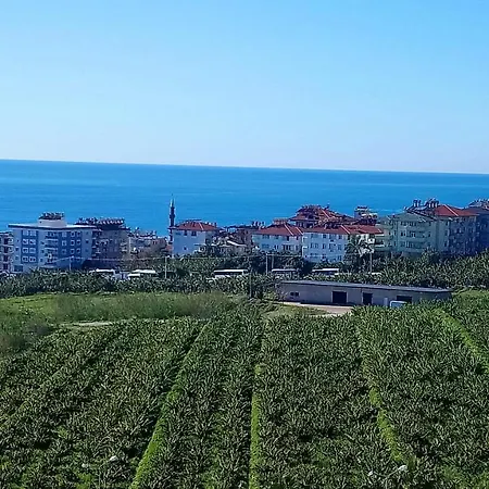 Beautiful Green At Cleopatra Beach Apartamento *